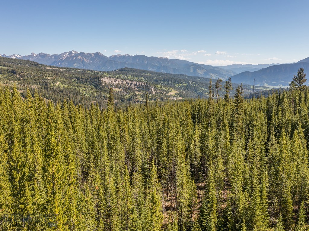 Big Sky MT 59716 - 1