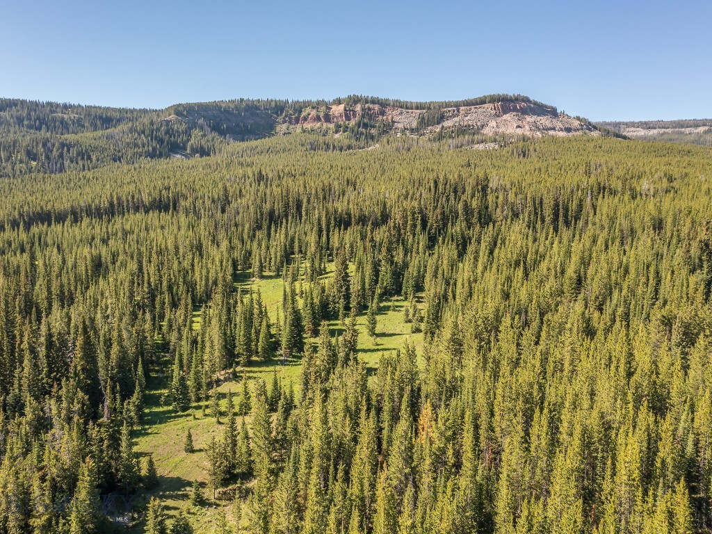Big Sky MT 59716 - 2