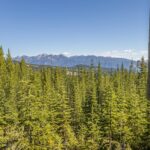 Big Sky MT 59716 - 4