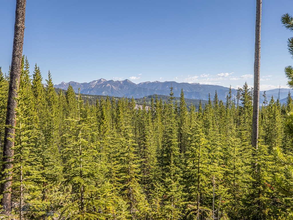 Big Sky MT 59716 - 4