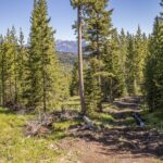 Big Sky MT 59716 - 5