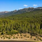 TBD Beehive Basin Lot 132A-1 Road