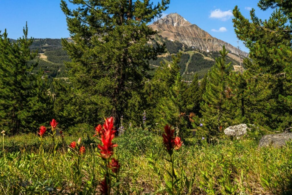 TBD Beehive Basin Lot 132A-1 Road