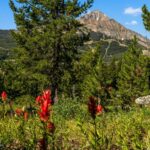 TBD Beehive Basin Lot 132A-1 Road
