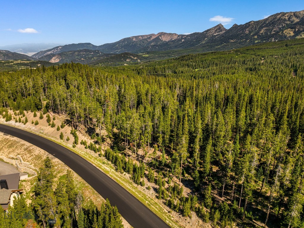 TBD Beehive Basin Lot 132A-1 Road