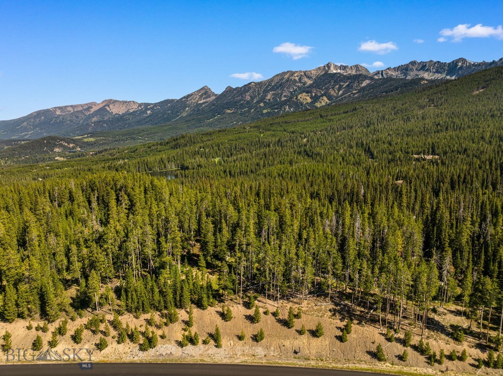 TBD Beehive Basin Lot 132A-1 Road