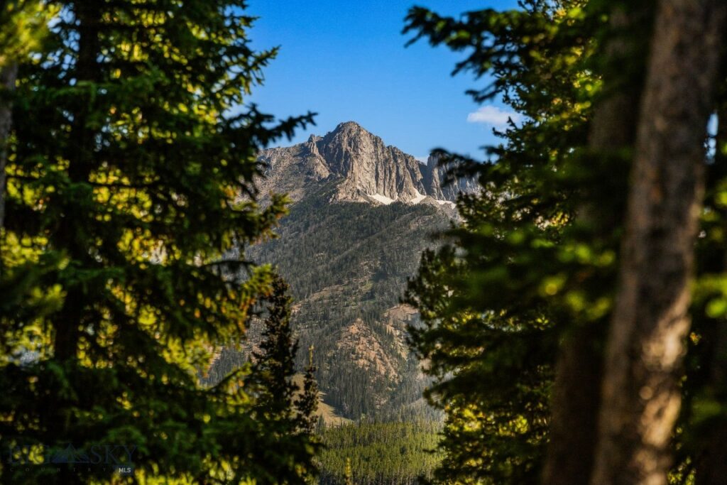 TBD Beehive Basin Lot 132A-1 Road