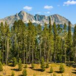 TBD Beehive Basin Lot 132A-1 Road