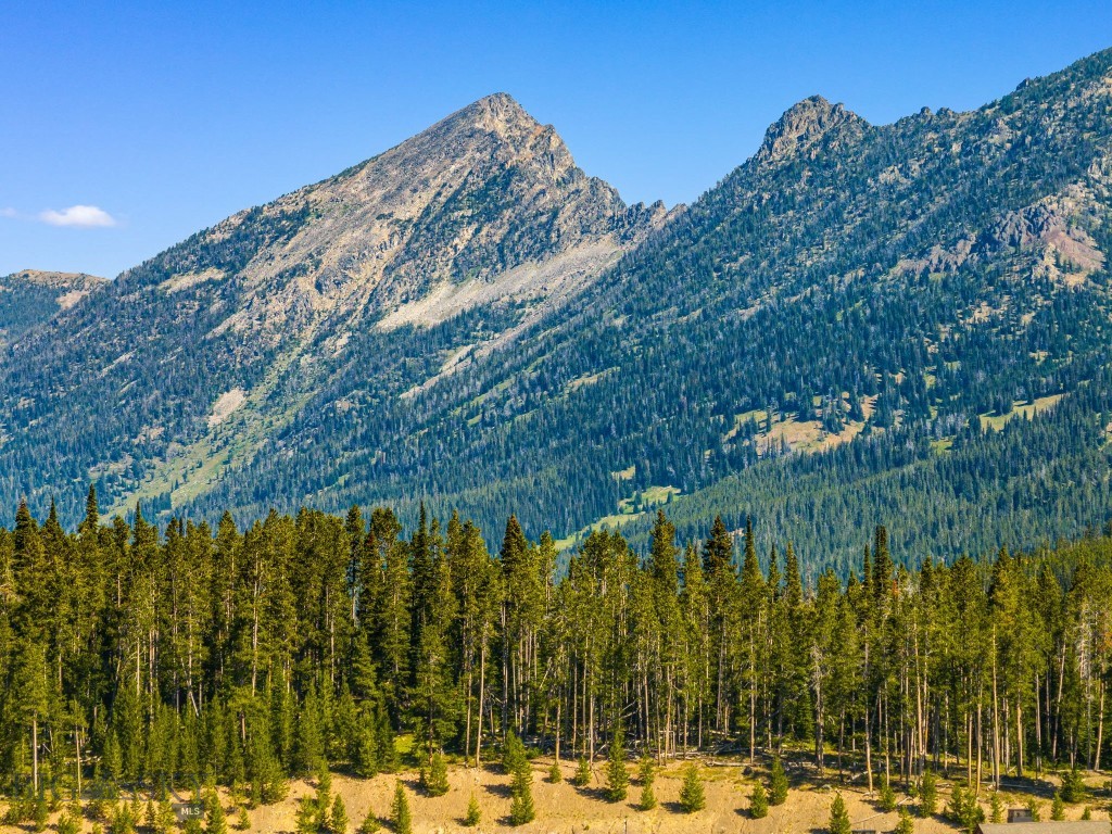 TBD Beehive Basin Lot 132A-1 Road