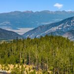 TBD Beehive Basin Lot 132A-1 Road