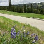Big Sky MT 59716 - 1