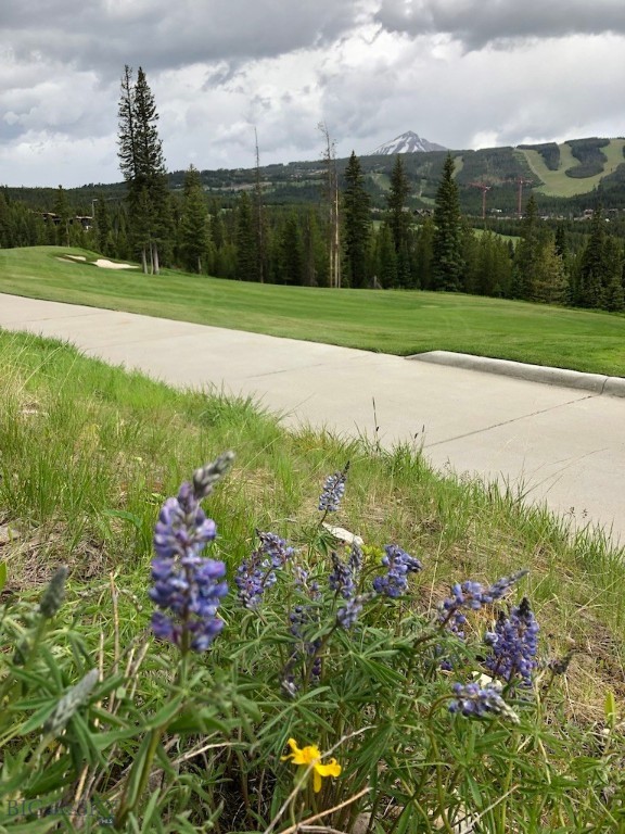 Big Sky MT 59716 - 1