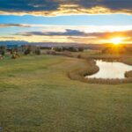 TBD Brave Heart Loop