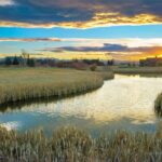 Bozeman MT 59718 - 8