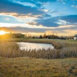 TBD Brave Heart Loop