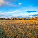 TBD Brave Heart Loop