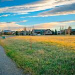 TBD Brave Heart Loop