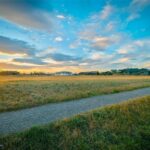 TBD Brave Heart Loop