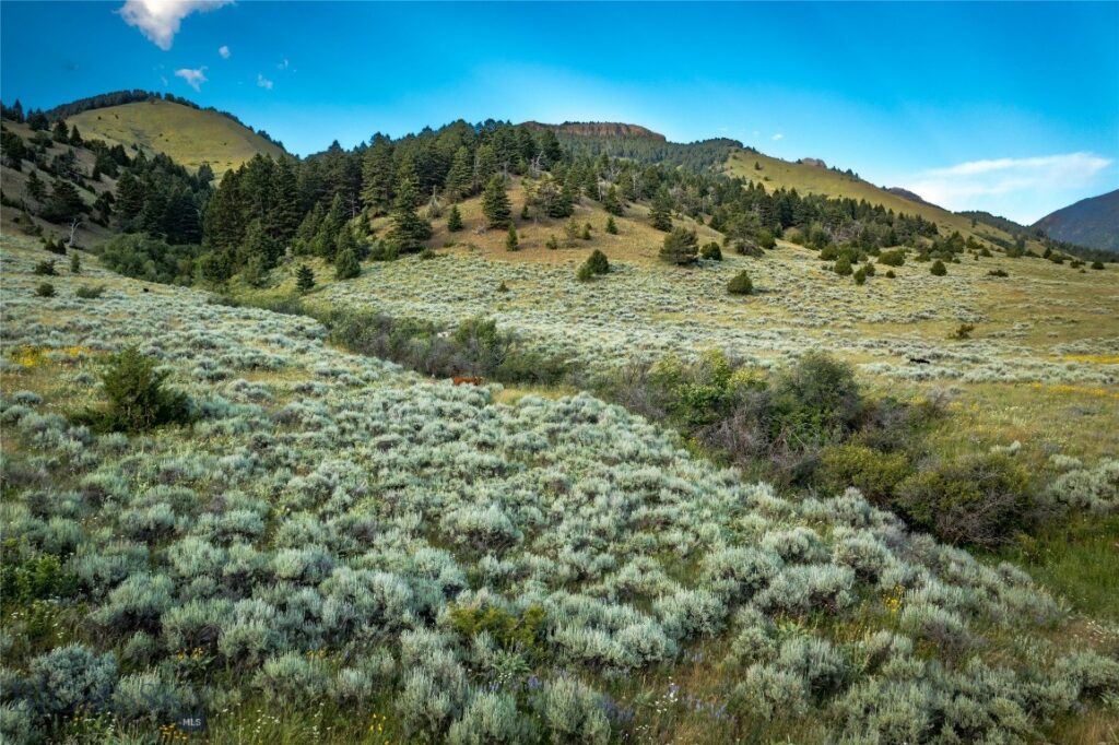 TBD Bridger Foothills