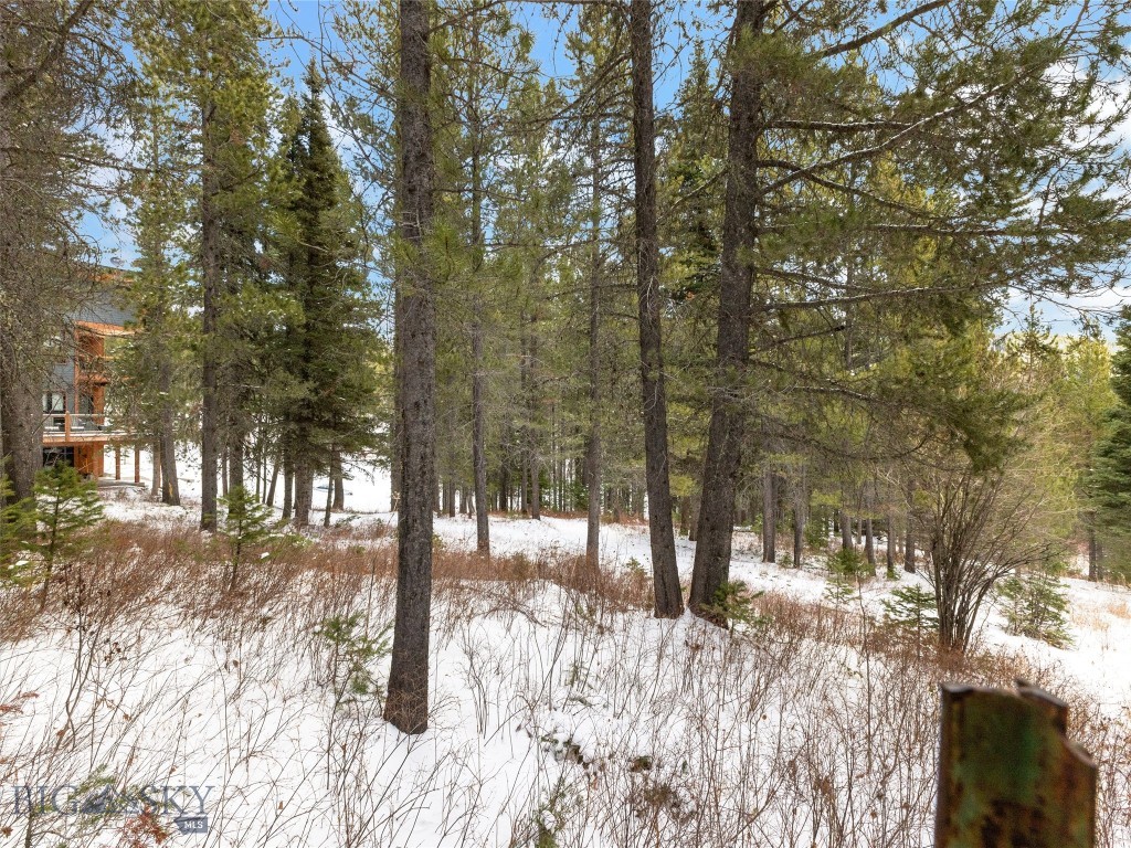 TBD Bridger Gully