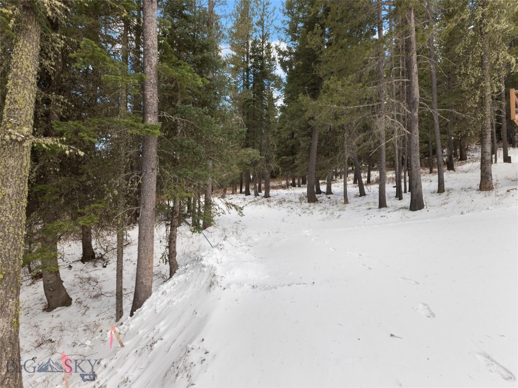 TBD Bridger Gully