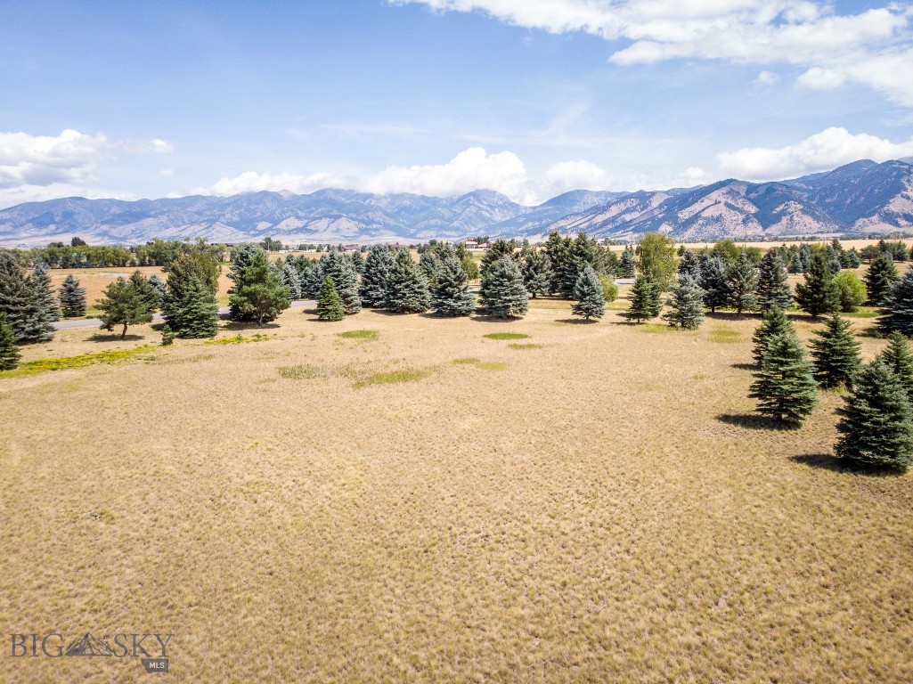 Bozeman MT 59718 - 12
