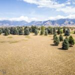 TBD Bridger Lake
