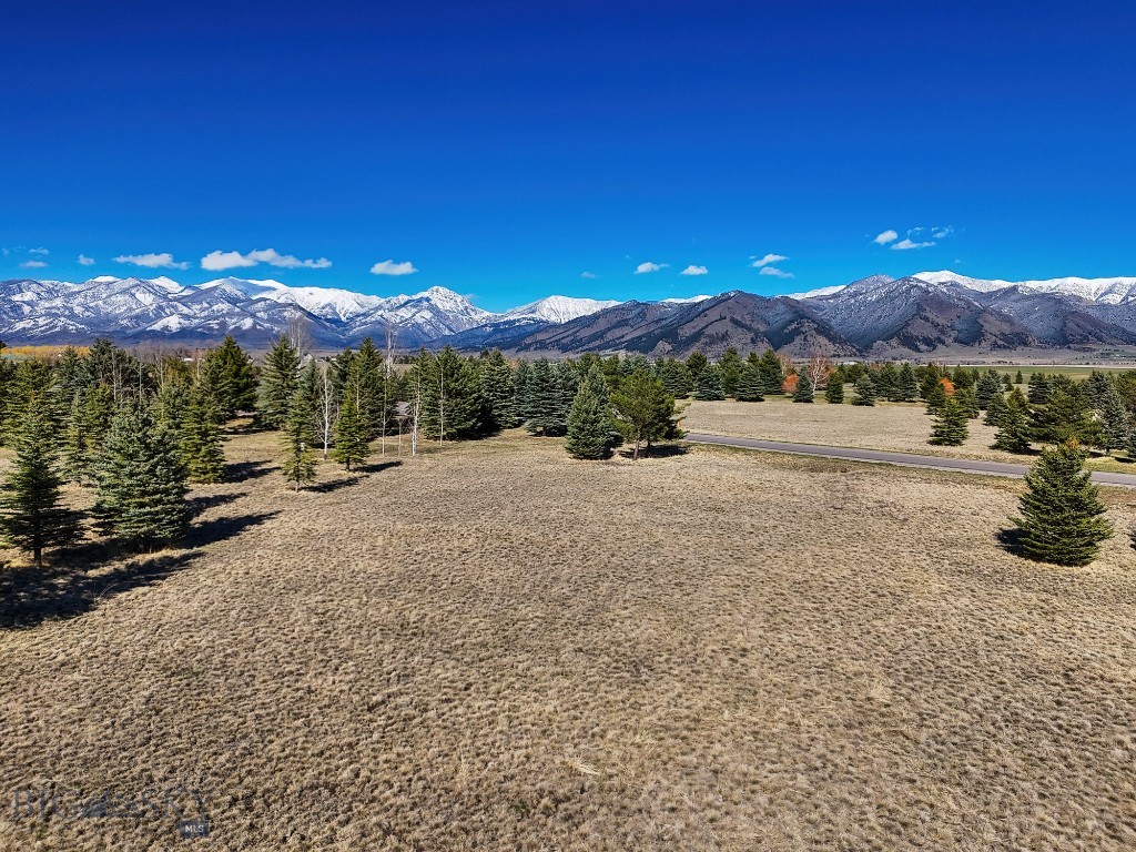 TBD Bridger Lake Drive