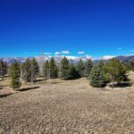 TBD Bridger Lake Drive