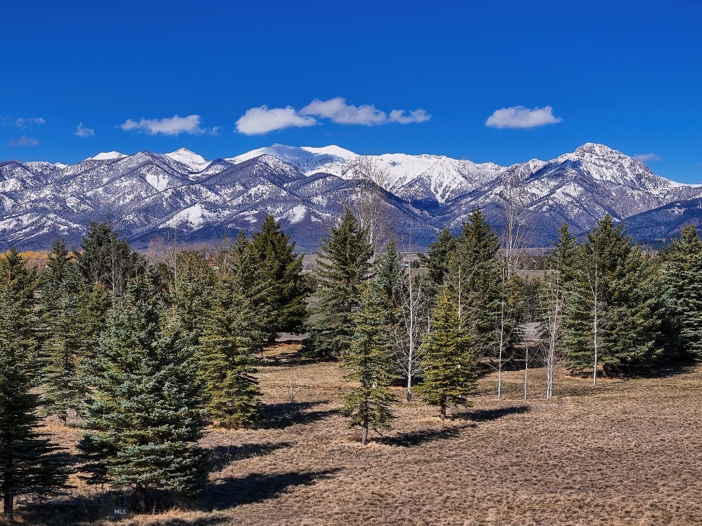 TBD Bridger Lake Drive
