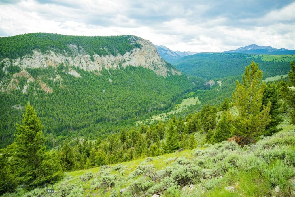 TBD Canyon Creek Road