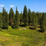 Bozeman MT 59715 - 2
