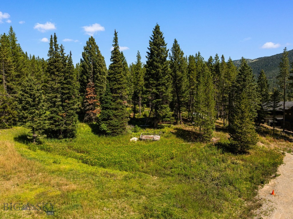 Bozeman MT 59715 - 2