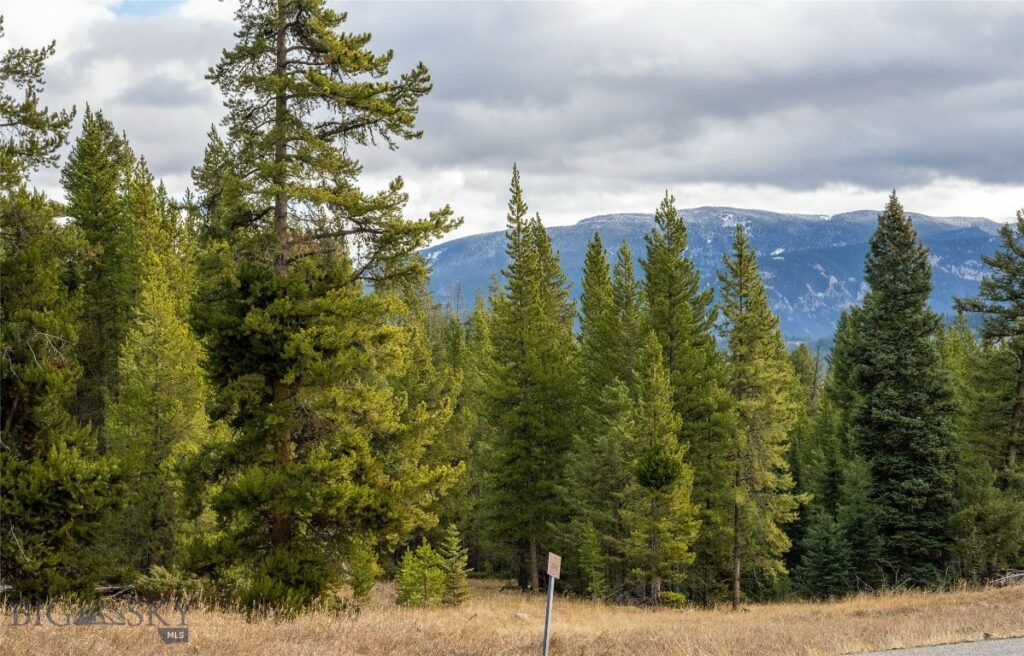 Big Sky MT 59716 - 2