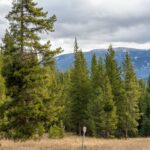 Big Sky MT 59716 - 2