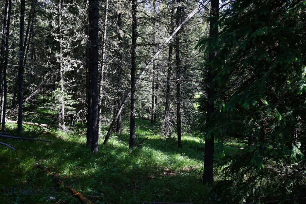 tbd Crown Butte - SPMC Ranch Lot 89