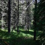 tbd Crown Butte - SPMC Ranch Lot 89