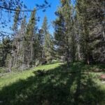 Big Sky MT 59716 - 6