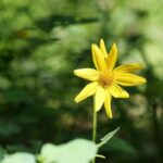 Big Sky MT 59716 - 8