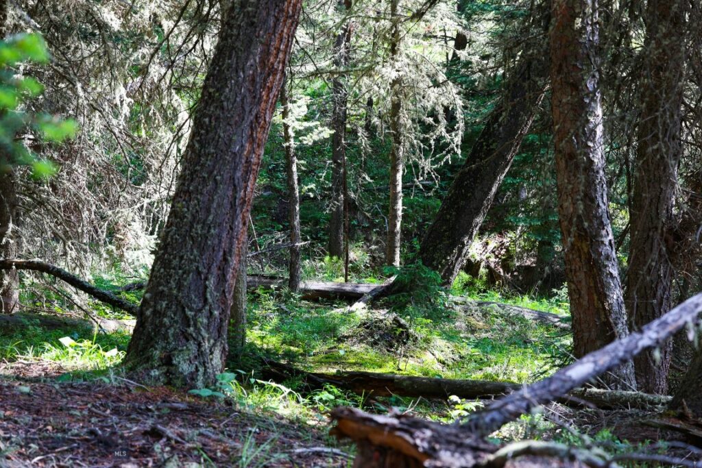 tbd Crown Butte - SPMC Ranch Lot 89