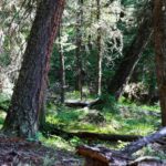 tbd Crown Butte - SPMC Ranch Lot 89