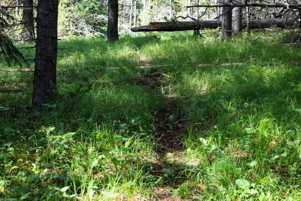 tbd Crown Butte - SPMC Ranch Lot 89