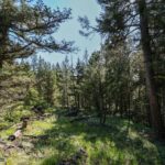 tbd Crown Butte - SPMC Ranch Lot 89