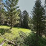 Big Sky MT 59716 - 3