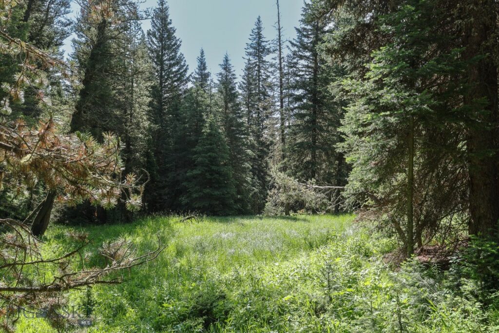 tbd Crown Butte - SPMC Ranch Lot 89