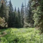 tbd Crown Butte - SPMC Ranch Lot 89