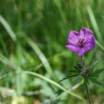 Big Sky MT 59716 - 10