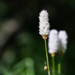 tbd Crown Butte - SPMC Ranch Lot 89