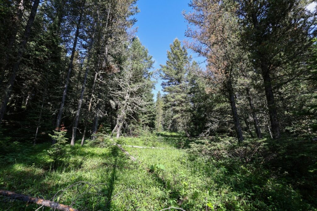 Big Sky MT 59716 - 2