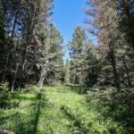 Big Sky MT 59716 - 2